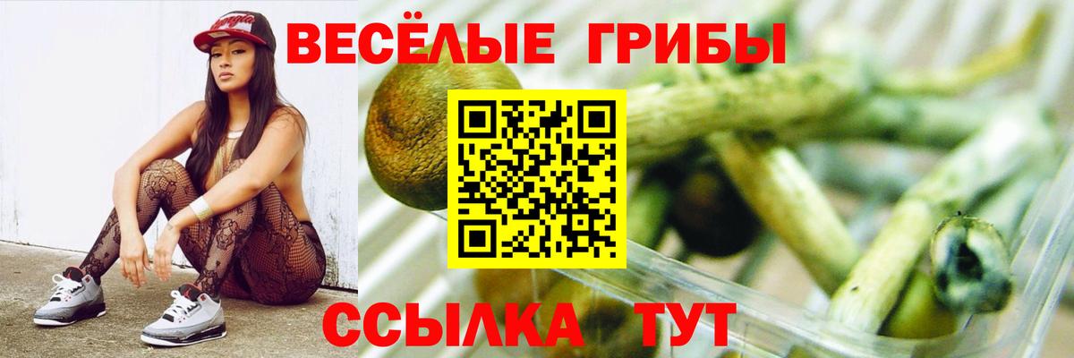 Галлюциногенные грибы мицелий Златоуст